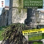 Turismoincilento.it - Festa dell'asparago selvatico di Roscigno Notizie  