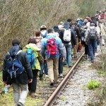 Turismoincilento.it - V giornata delle “Ferrovie dimenticate”: Sicignano degli Alburni: trekking sui binari della vecchia ferrovia Notizie  
